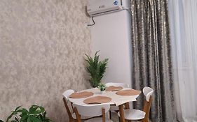 Silvana Apartament